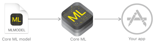 Core ML_iOS 11