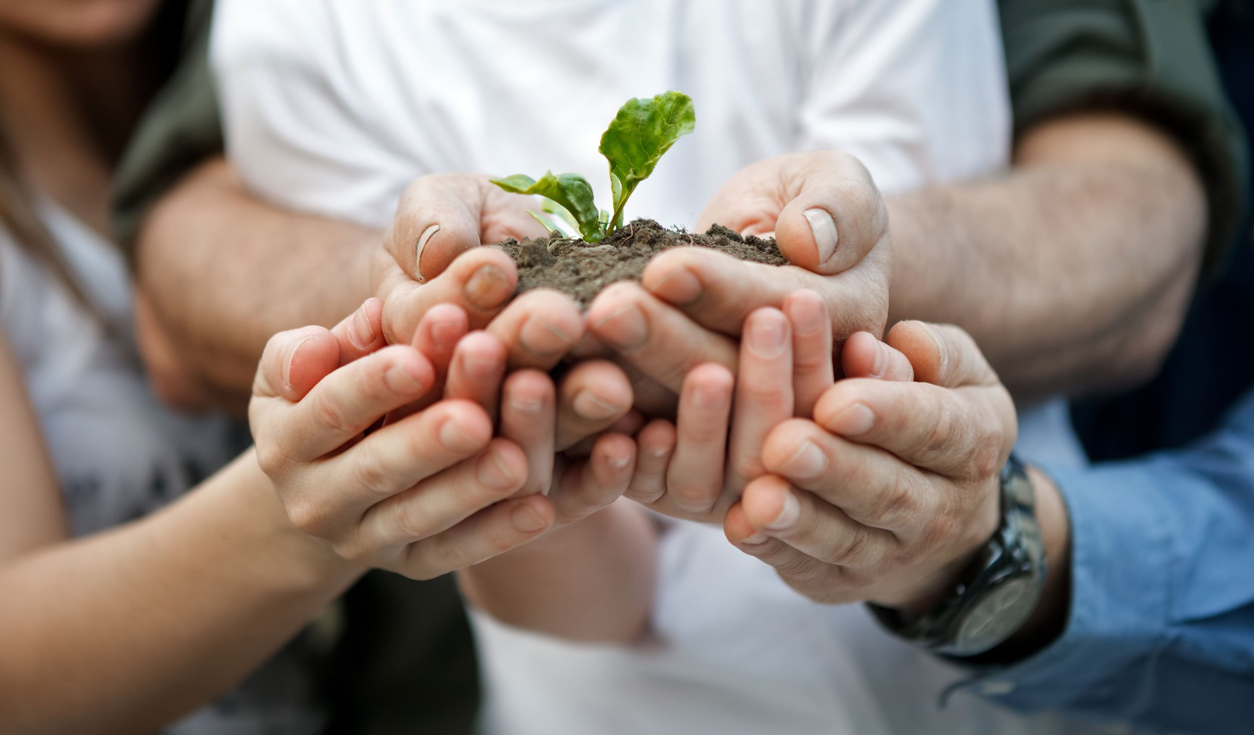 AdobeStock_54706257-compress.jpg